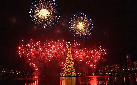 brazil-tree2_3122879c